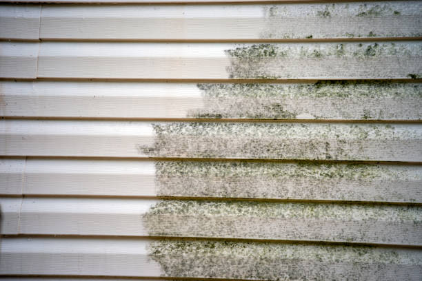 Best Stucco Siding  in Hopelawn, NJ