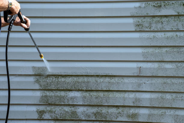 Best Storm Damage Siding Repair  in Hopelawn, NJ