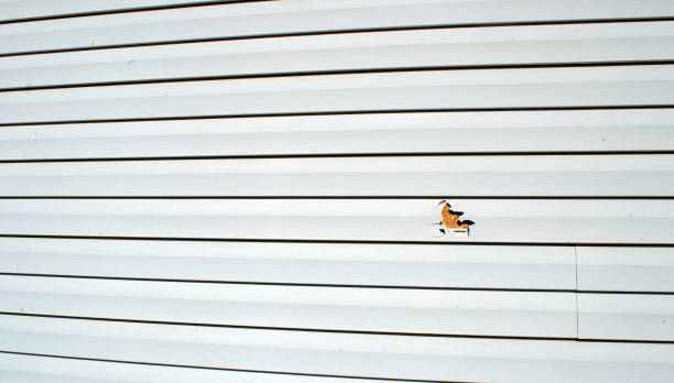 Best Fiber Cement Siding Installation  in Hopelawn, NJ