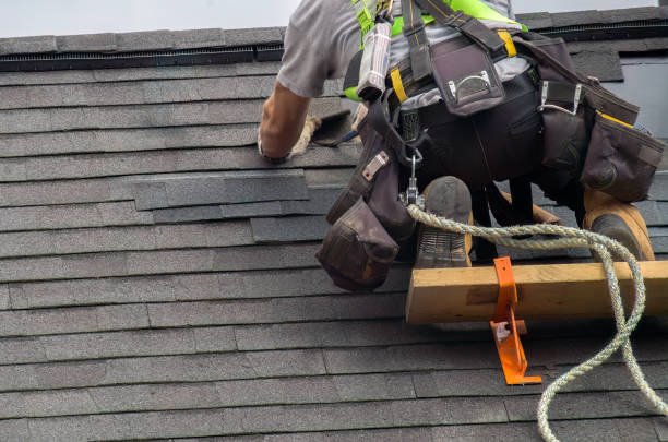 Professional Siding Installation & Repair in Hopelawn, NJ